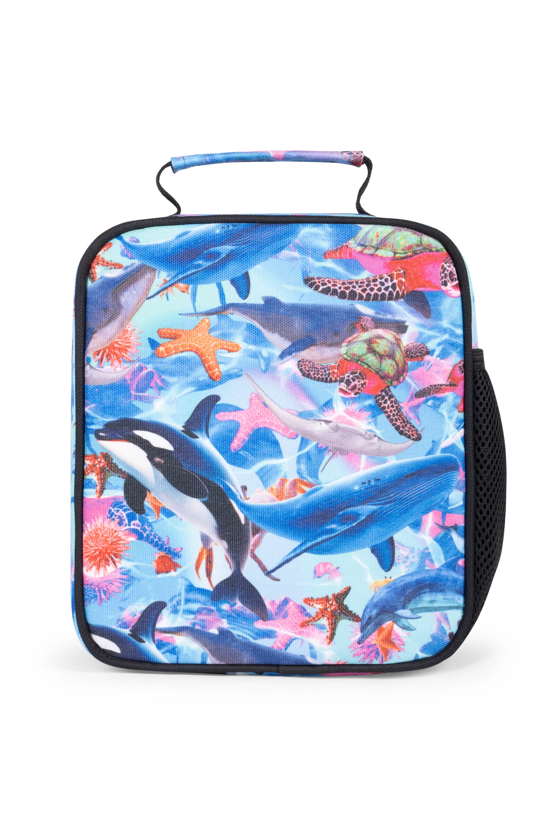 Hype Kids Blue Sea Life Lunch Box - Image 4